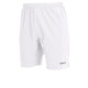 Reece Legacy shortsit
